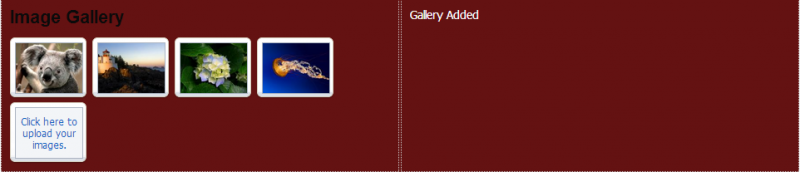File:Imagegalleryimg5.PNG